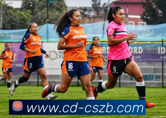 彩神争霸发展历程